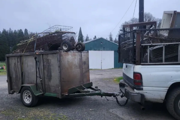 Scrap Metal Removal